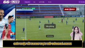 Giới thiệu về 66live