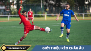 Giới thiệu về kèo Châu Âu